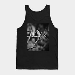 Cannot beat the beauty of nature Tank Top
